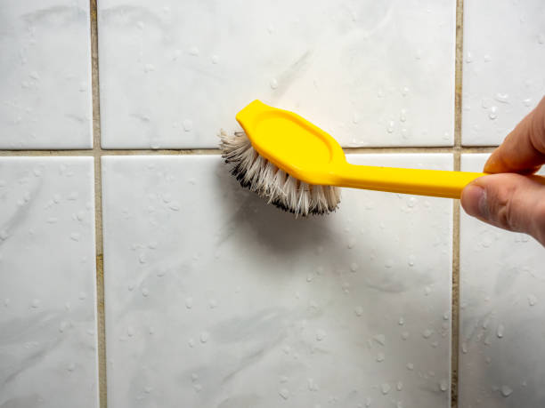 Best Same-Day Mold Removal  in Nolanville, TX