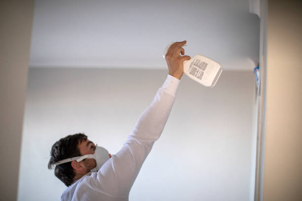 Best Home Mold Removal  in Nolanville, TX