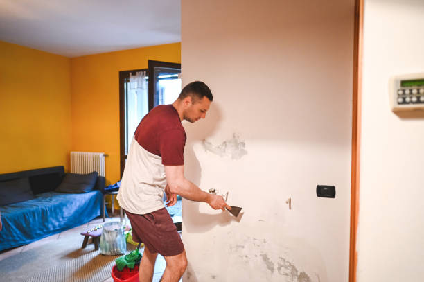 Best Professional Mold Removal  in Nolanville, TX